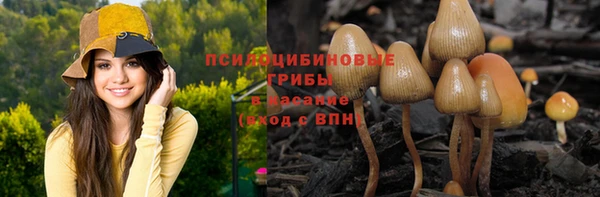 герыч Верея