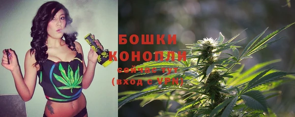 шишки Волоколамск