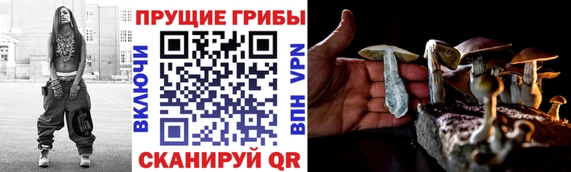 Галлюциногенные грибы ЛСД  магазин продажи наркотиков  Инта 